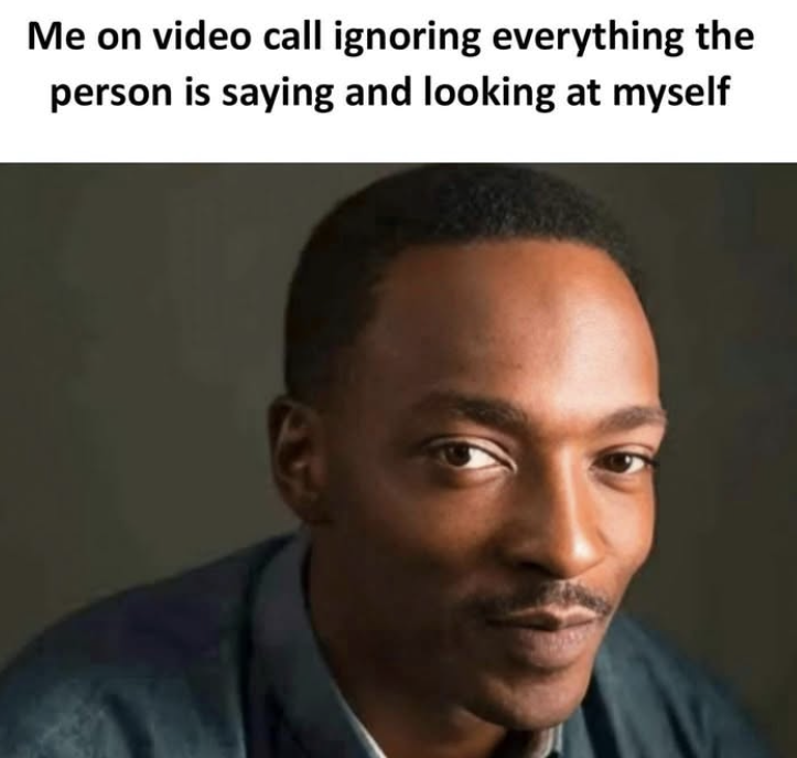 Me Looking At Myself on Video Meetings