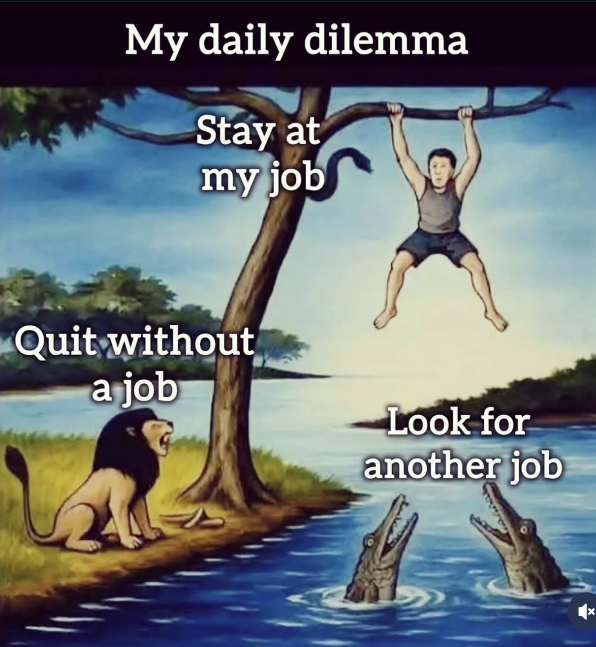 My Daily Dilemma: Stay / Quit / Look for another job