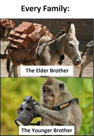 Elder vs Younger Brother