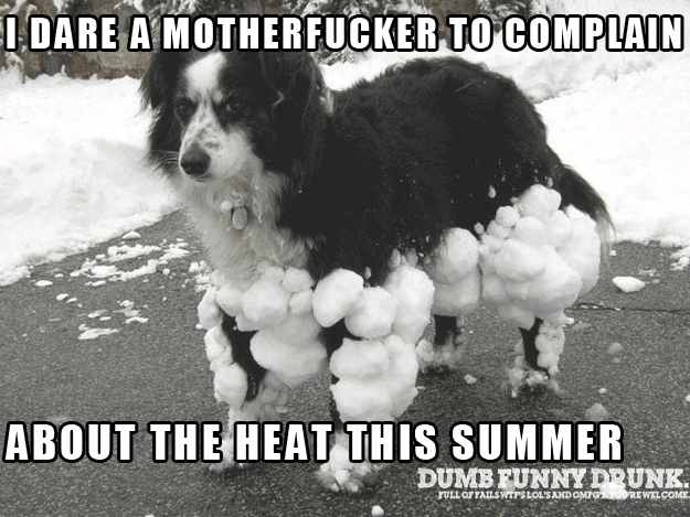 Do Not Complain About The Heat