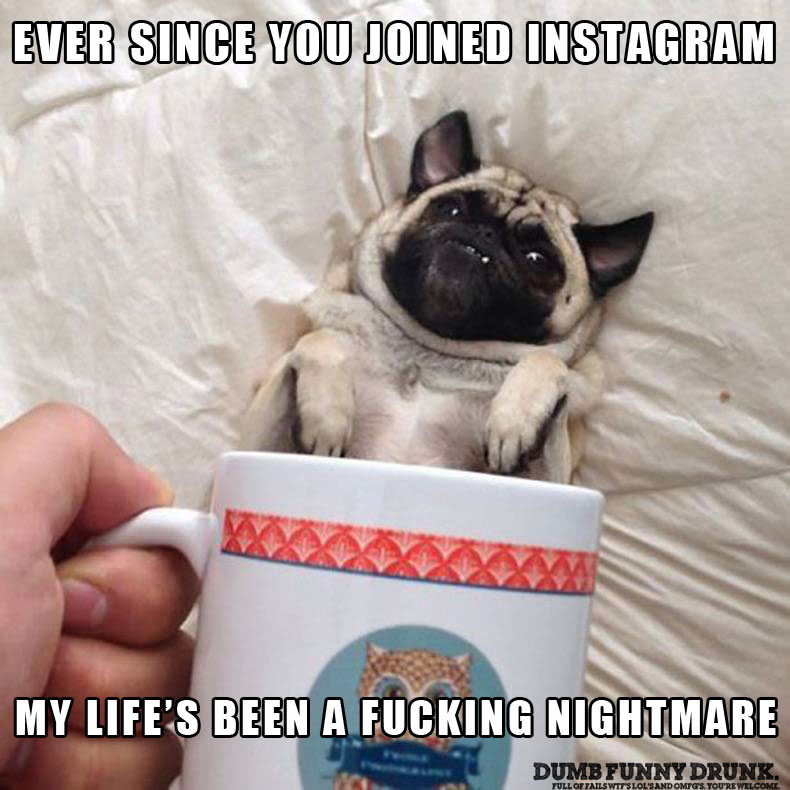 Ever Since You Joined Instagram