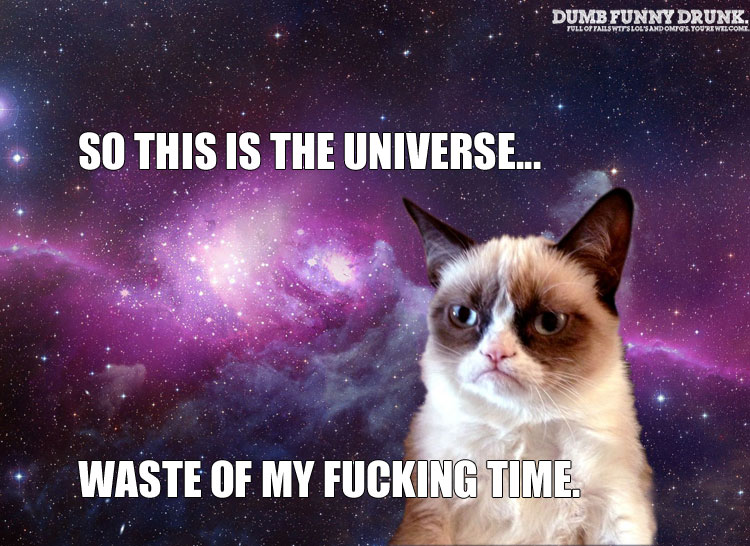 Grumpy Cat Tours The Universe