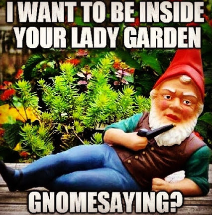 Garden Gnome Swag