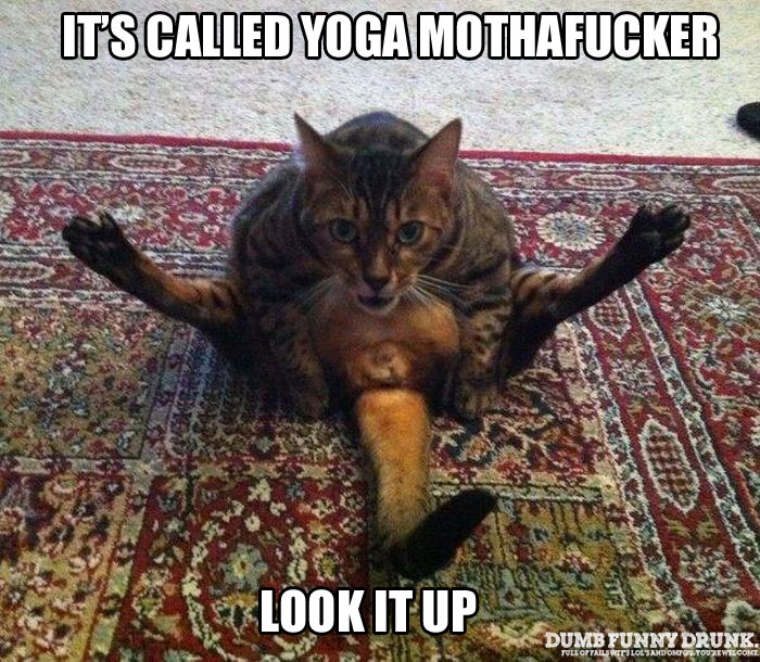 It’s Called Yoga, Look It Up