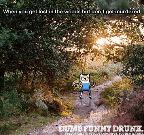 When You Get Lost In The Woods