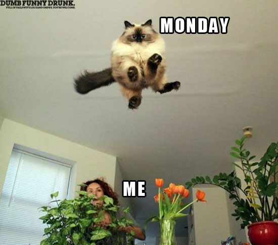Me And Monday’s