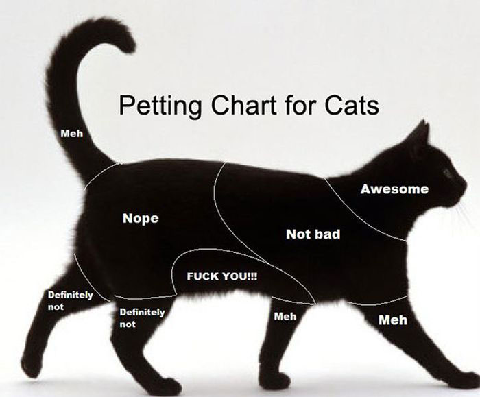 Petting Chart For Cats