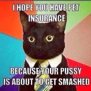 Do You Have Pet Insurance