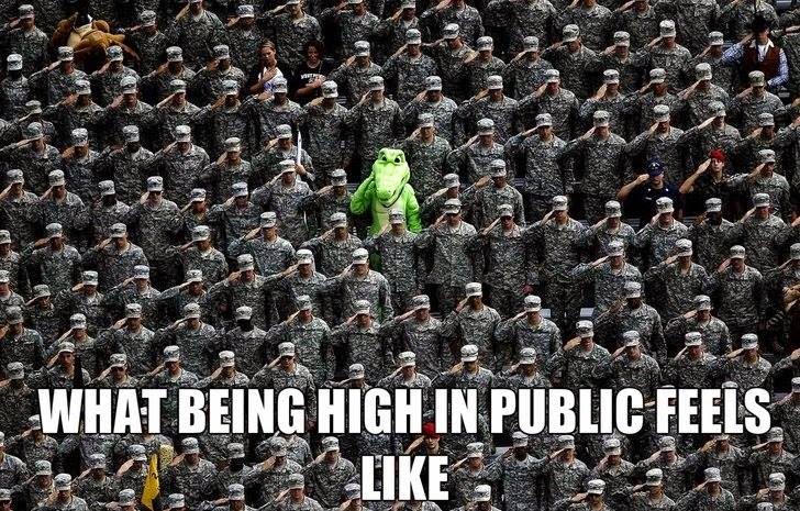 Being High In Public